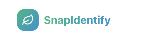 SnapIdentify